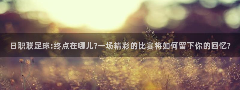 德国意昂集团