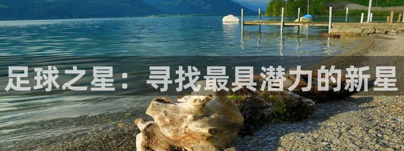 佛山市南海意昂机电仪器有限公司