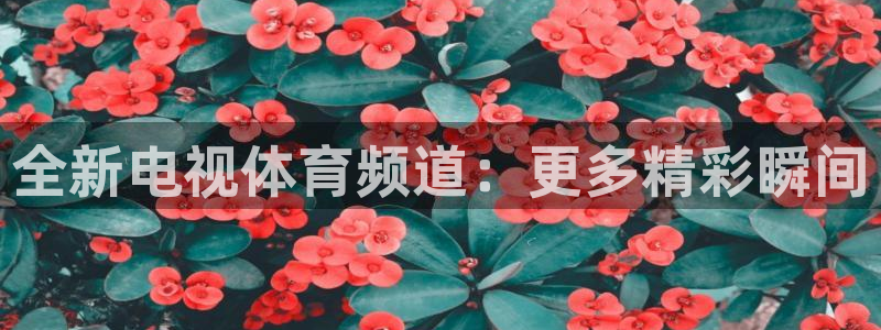 意昂体育注册登录入口