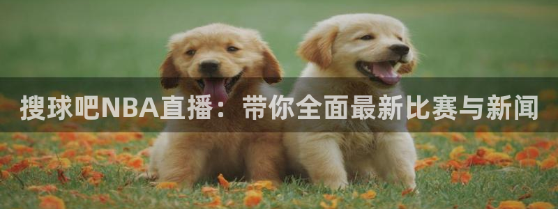 成都意昂电子有限公司