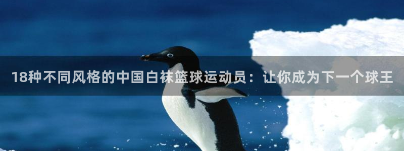 意昂体育1招商