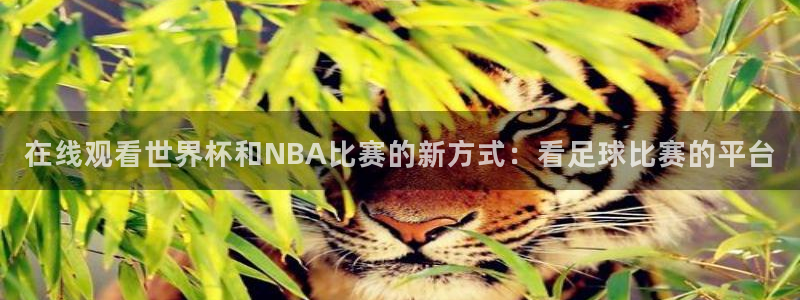 意昂平台注册