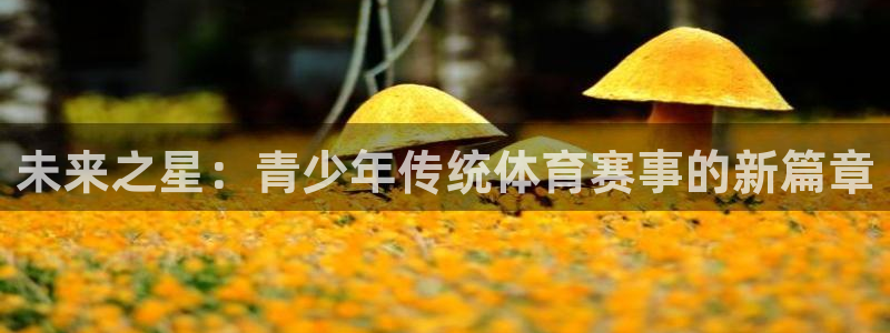 意昂平台招商